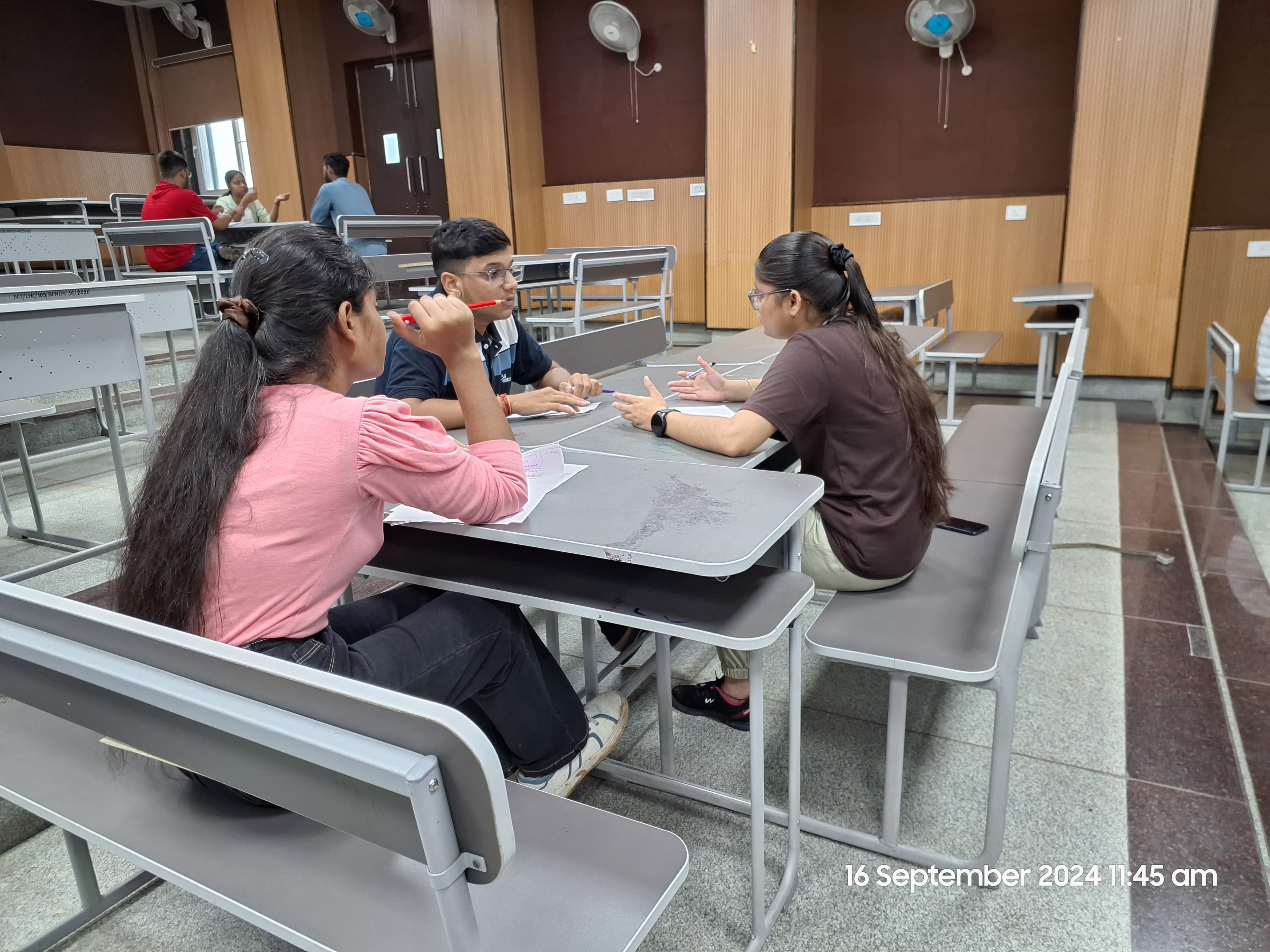 Naivete Fete image 2